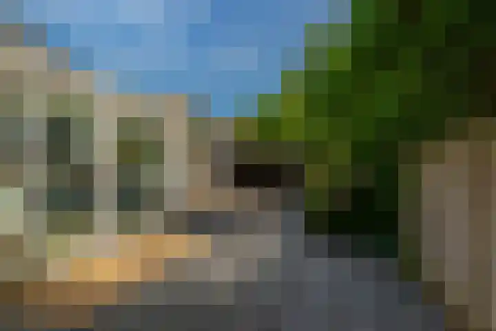 Beukvaren 3 Rotterdam thumbnail 46