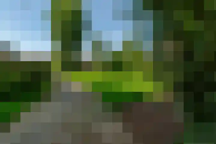 Beukvaren 3 Rotterdam thumbnail 47