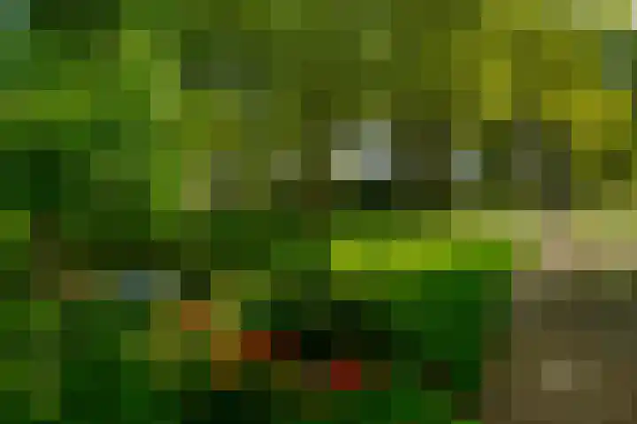 Beukvaren 3 Rotterdam thumbnail 48
