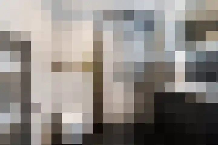 Beukvaren 3 Rotterdam thumbnail 5
