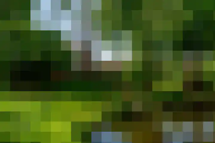 Beukvaren 3 Rotterdam thumbnail 50