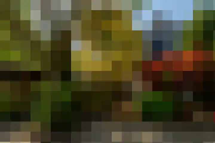 Beukvaren 3 Rotterdam thumbnail 57