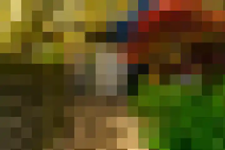 Beukvaren 3 Rotterdam thumbnail 7