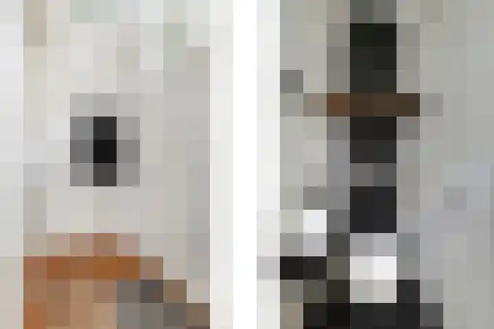 Beukvaren 3 Rotterdam thumbnail 8
