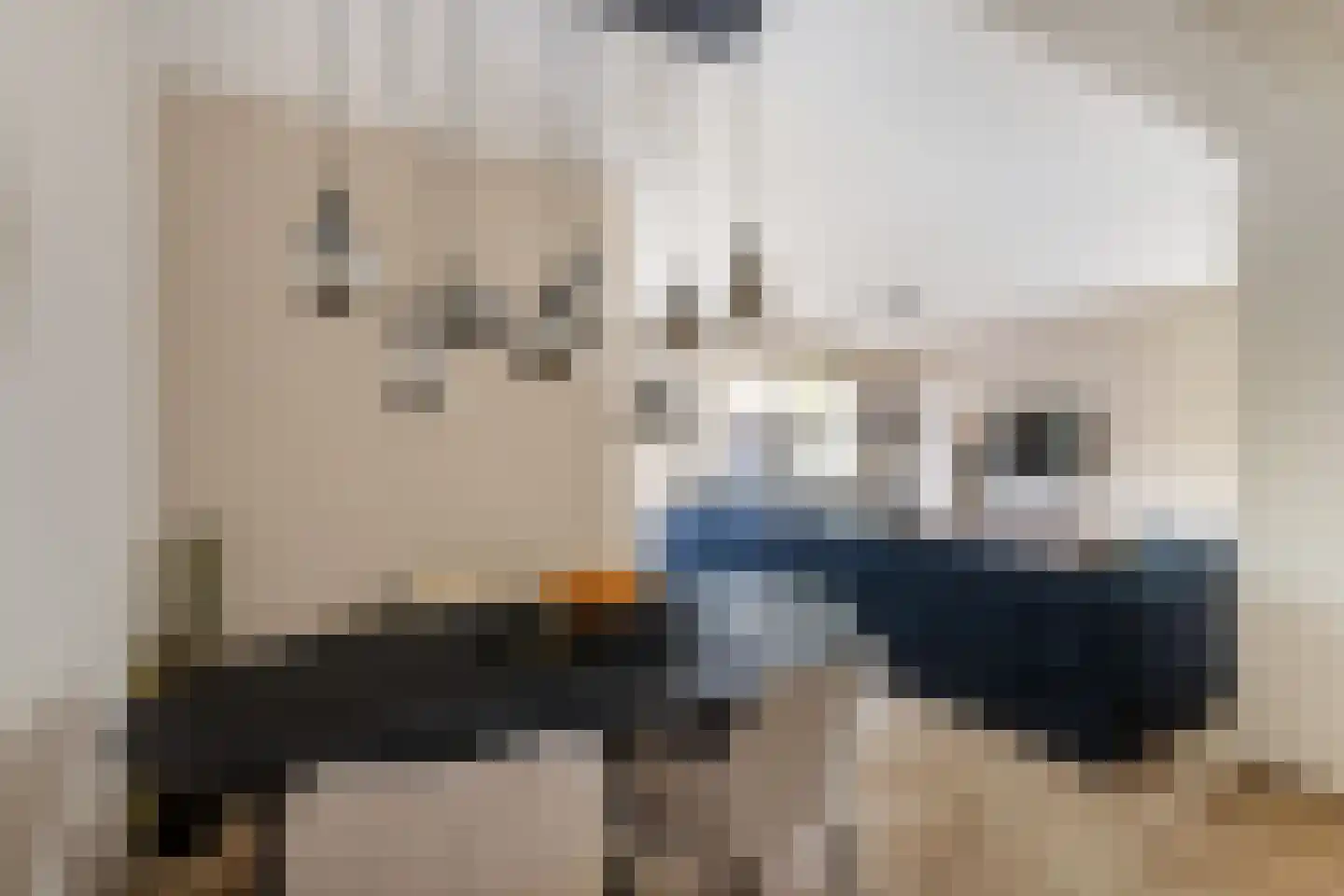 Beukvaren 3 Rotterdam thumbnail 9