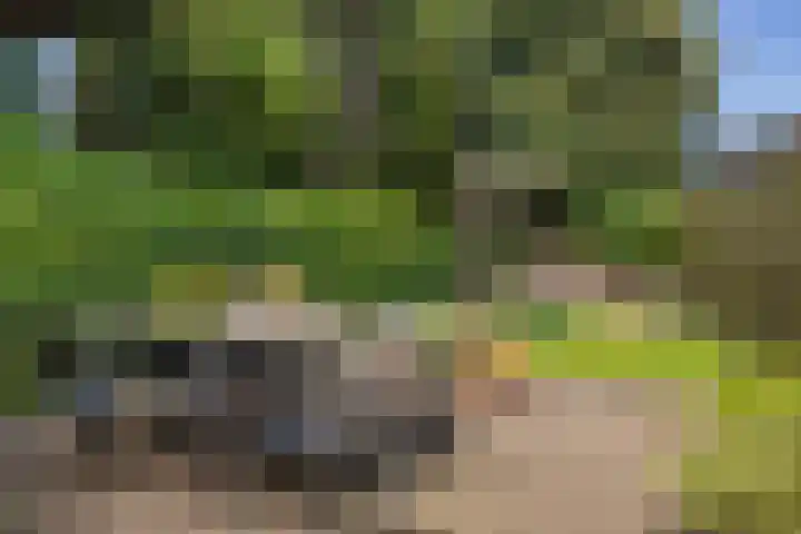 Beukweg 7 Hengelo thumbnail 23