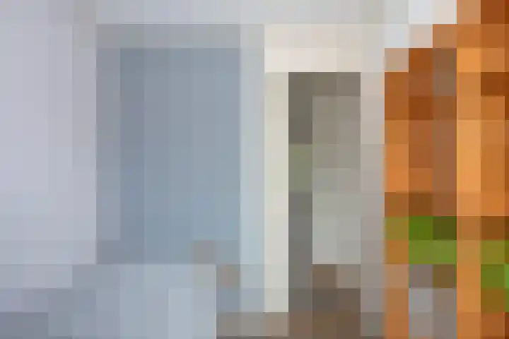 Beukweg 74 Hengelo thumbnail 19