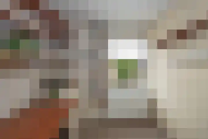 Beukweg 74 Hengelo thumbnail 21