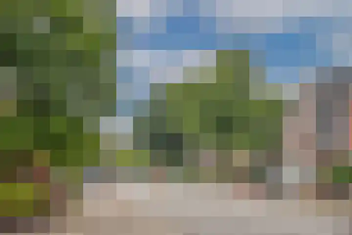 Beukweg 74 Hengelo thumbnail 30