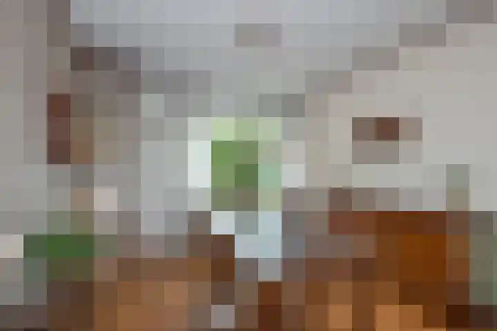Beukweg 74 Hengelo thumbnail 8