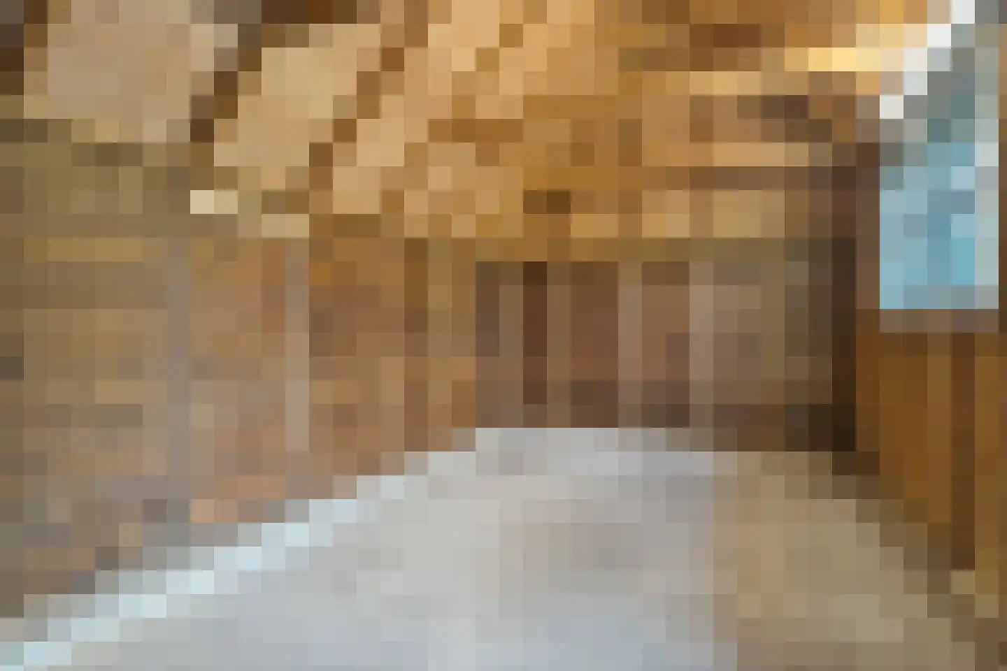 Beulakerpad 5 Sint Jansklooster thumbnail 34