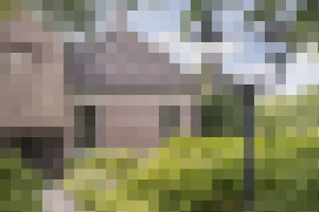 Beulakerweg 123 Giethoorn thumbnail 10