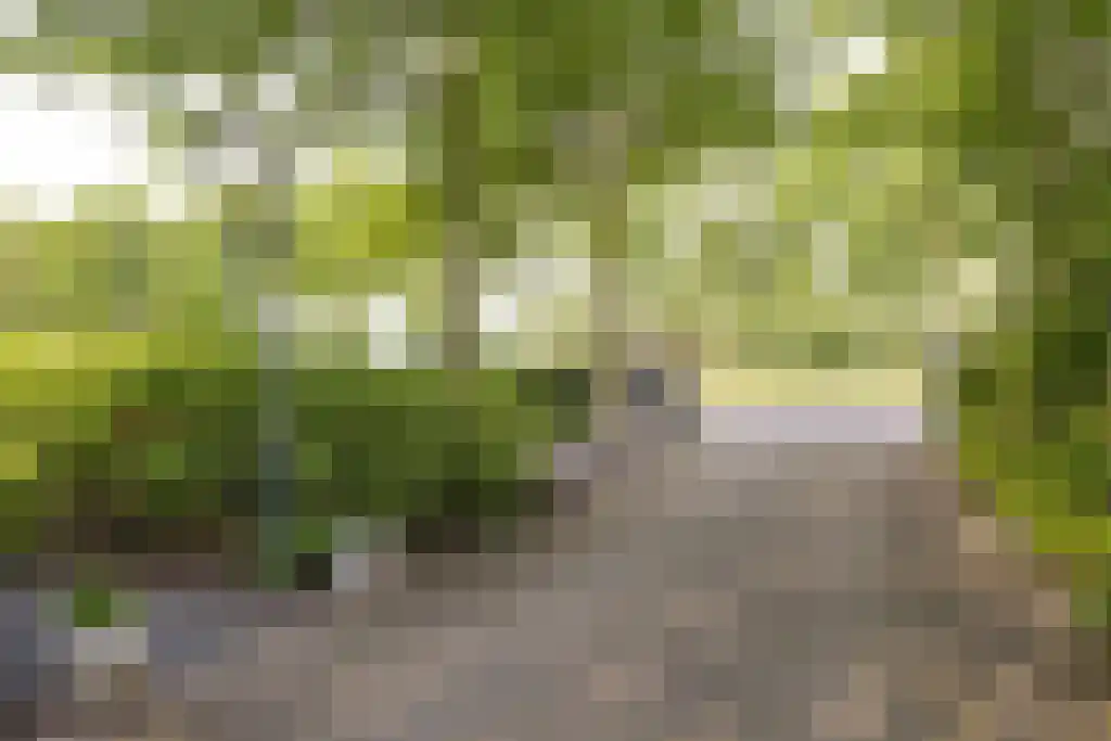 Beulakerweg 123 Giethoorn thumbnail 12