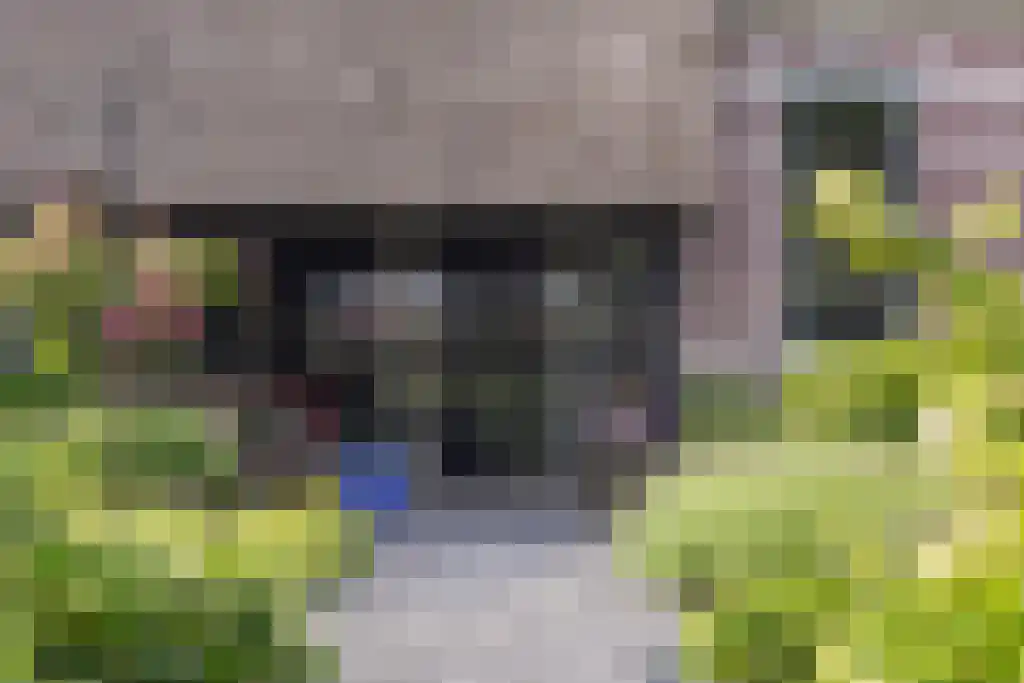 Beulakerweg 123 Giethoorn thumbnail 15