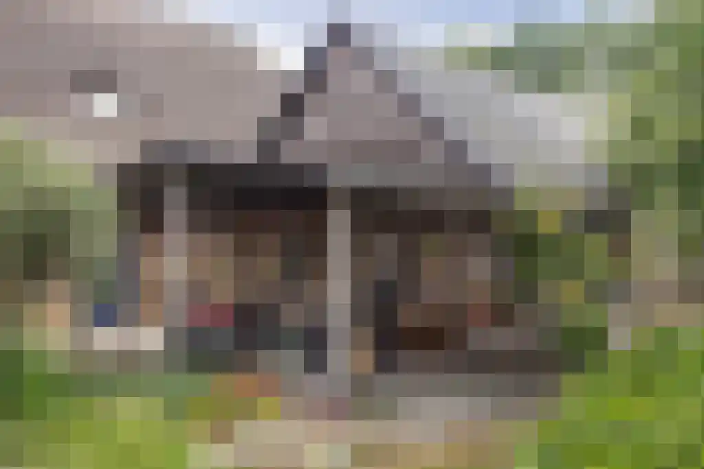 Beulakerweg 123 Giethoorn thumbnail 47