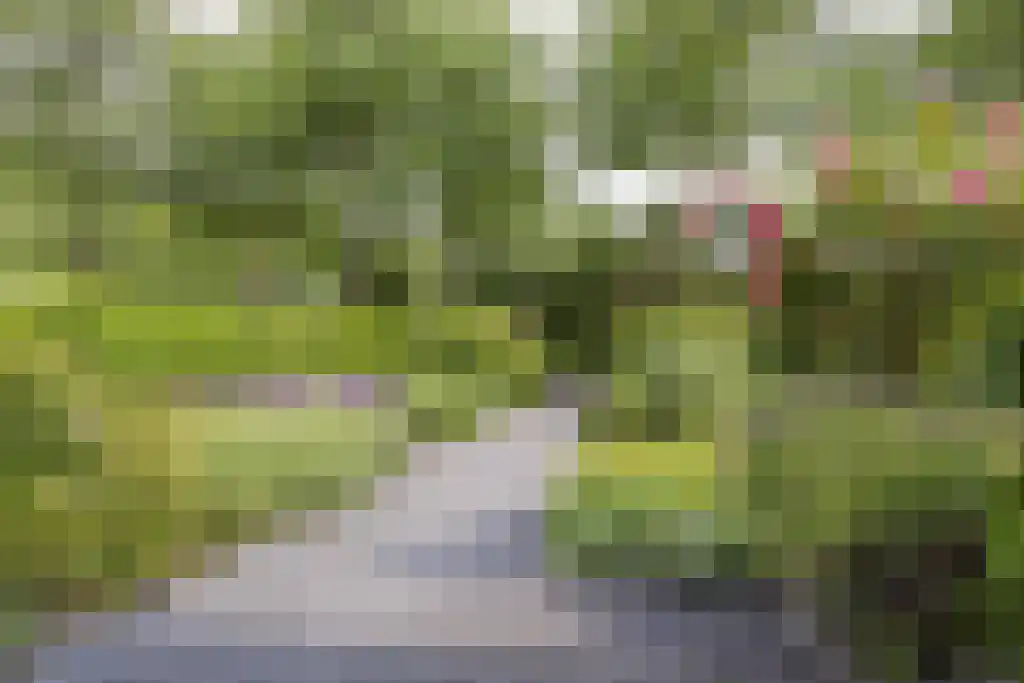 Beulakerweg 123 Giethoorn thumbnail 49