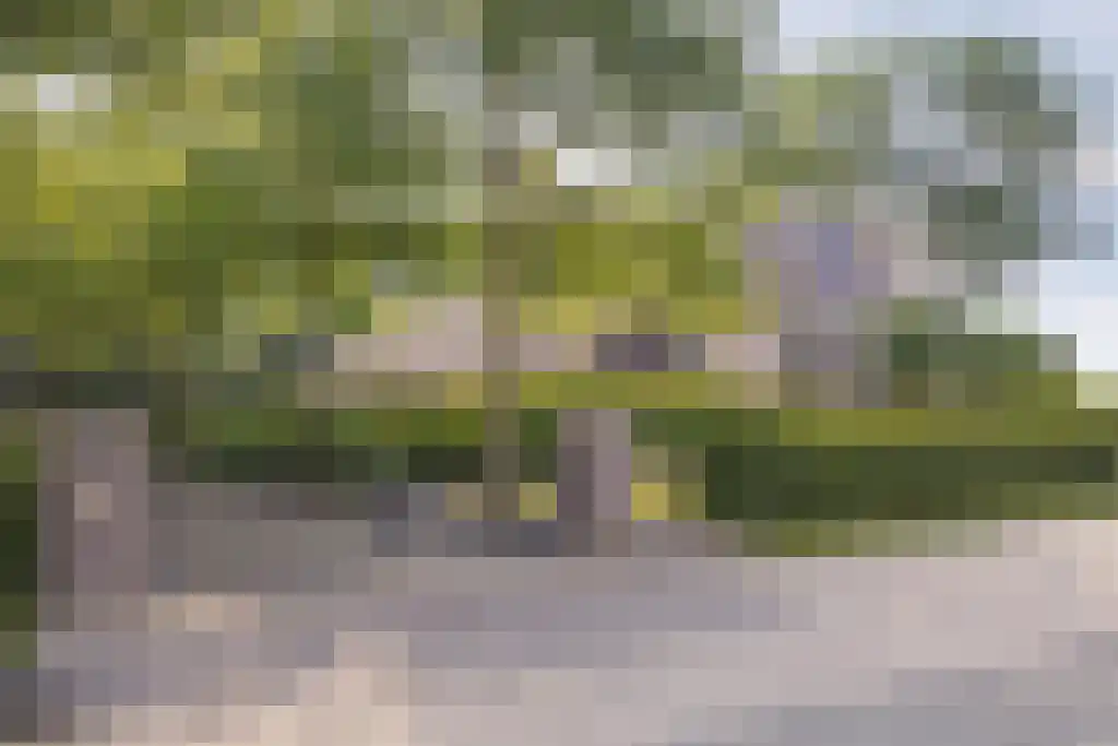 Beulakerweg 123 Giethoorn thumbnail 5