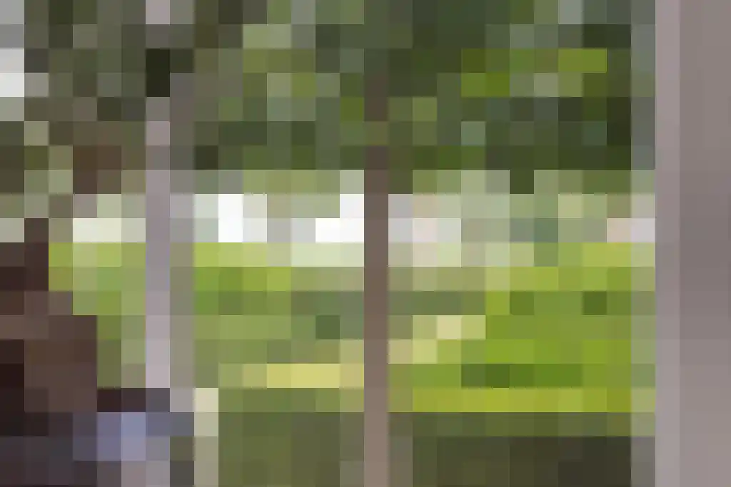 Beulakerweg 123 Giethoorn thumbnail 52