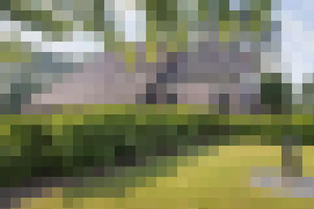 Beulakerweg 123 Giethoorn thumbnail 8