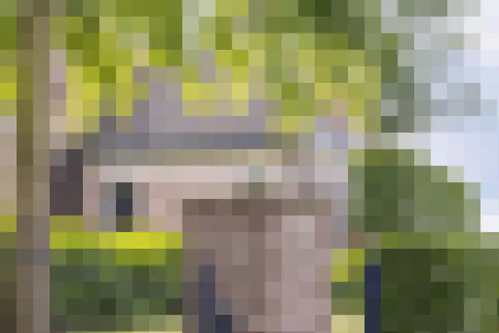 Beulakerweg 123 Giethoorn thumbnail 9