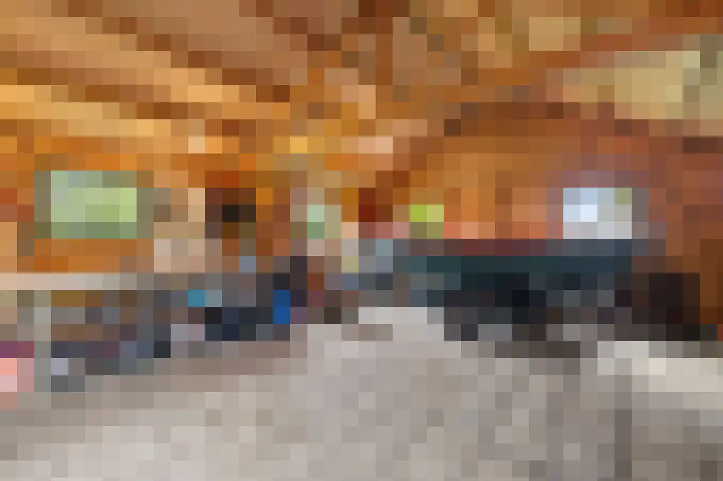 Beulakerweg 15 Giethoorn thumbnail 31