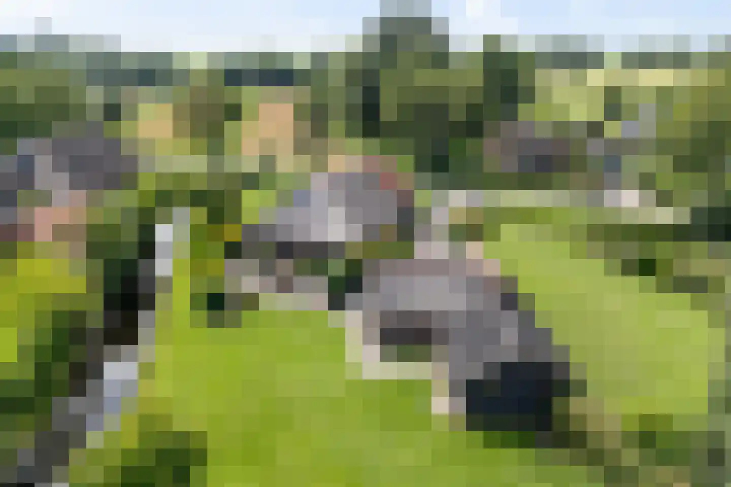 Beulakerweg 15 Giethoorn thumbnail 33
