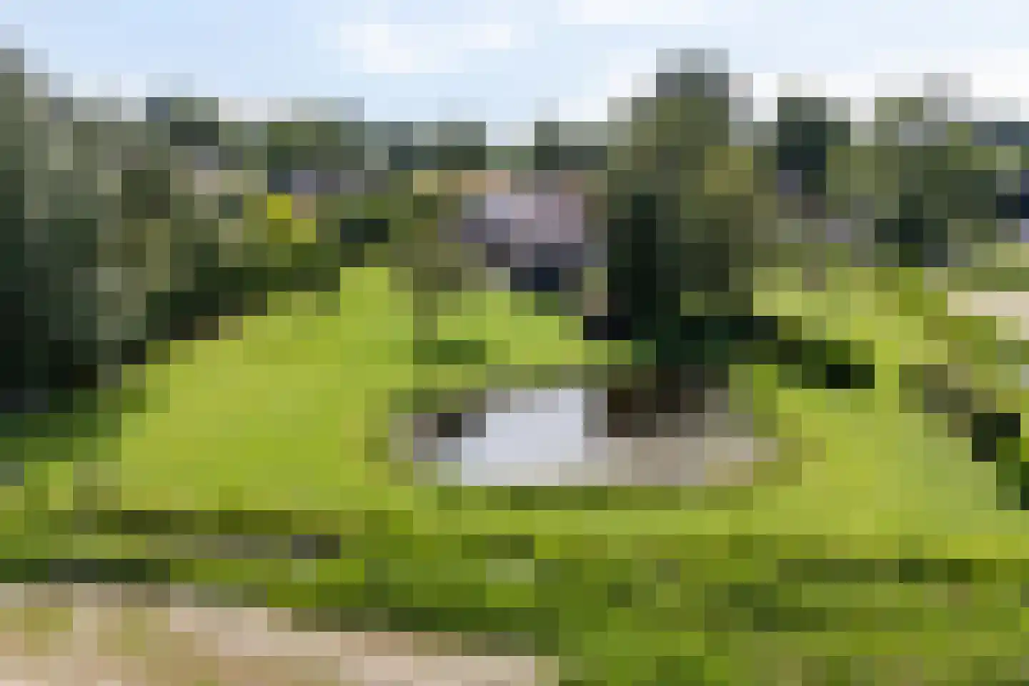 Beulakerweg 15 Giethoorn thumbnail 34