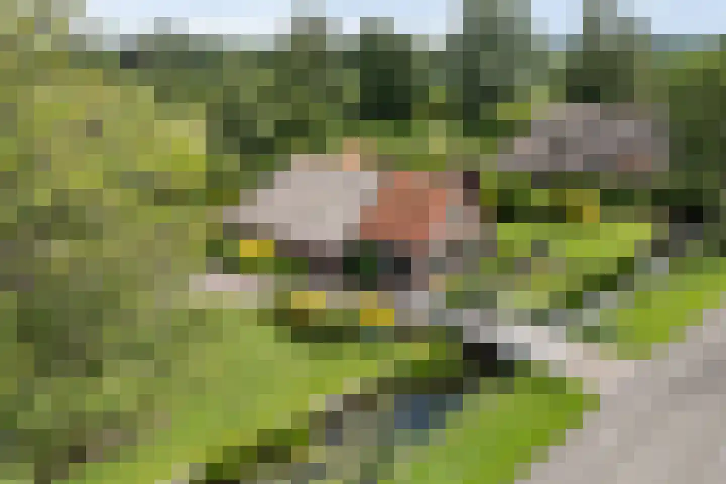 Beulakerweg 15 Giethoorn thumbnail 35