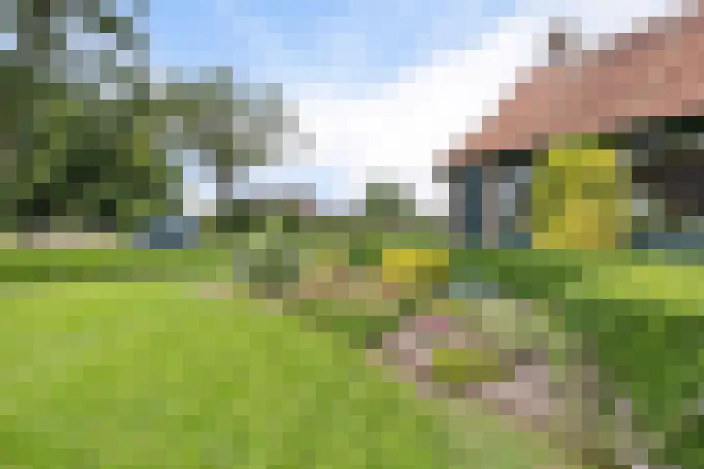 Beulakerweg 15 Giethoorn thumbnail 39