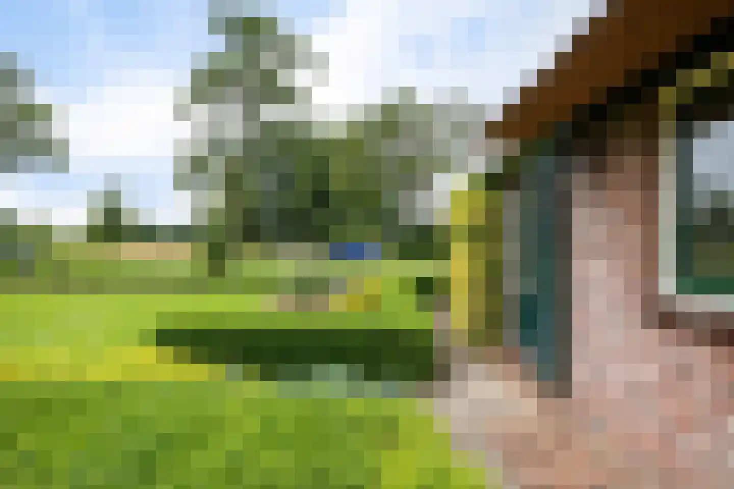 Beulakerweg 15 Giethoorn thumbnail 40