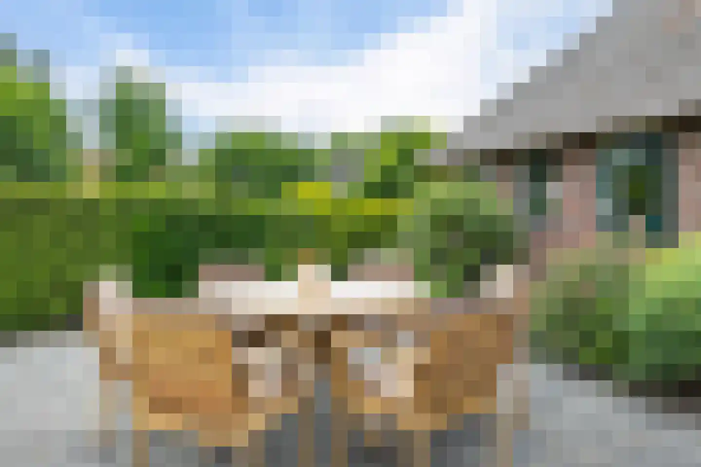 Beulakerweg 15 Giethoorn thumbnail 43