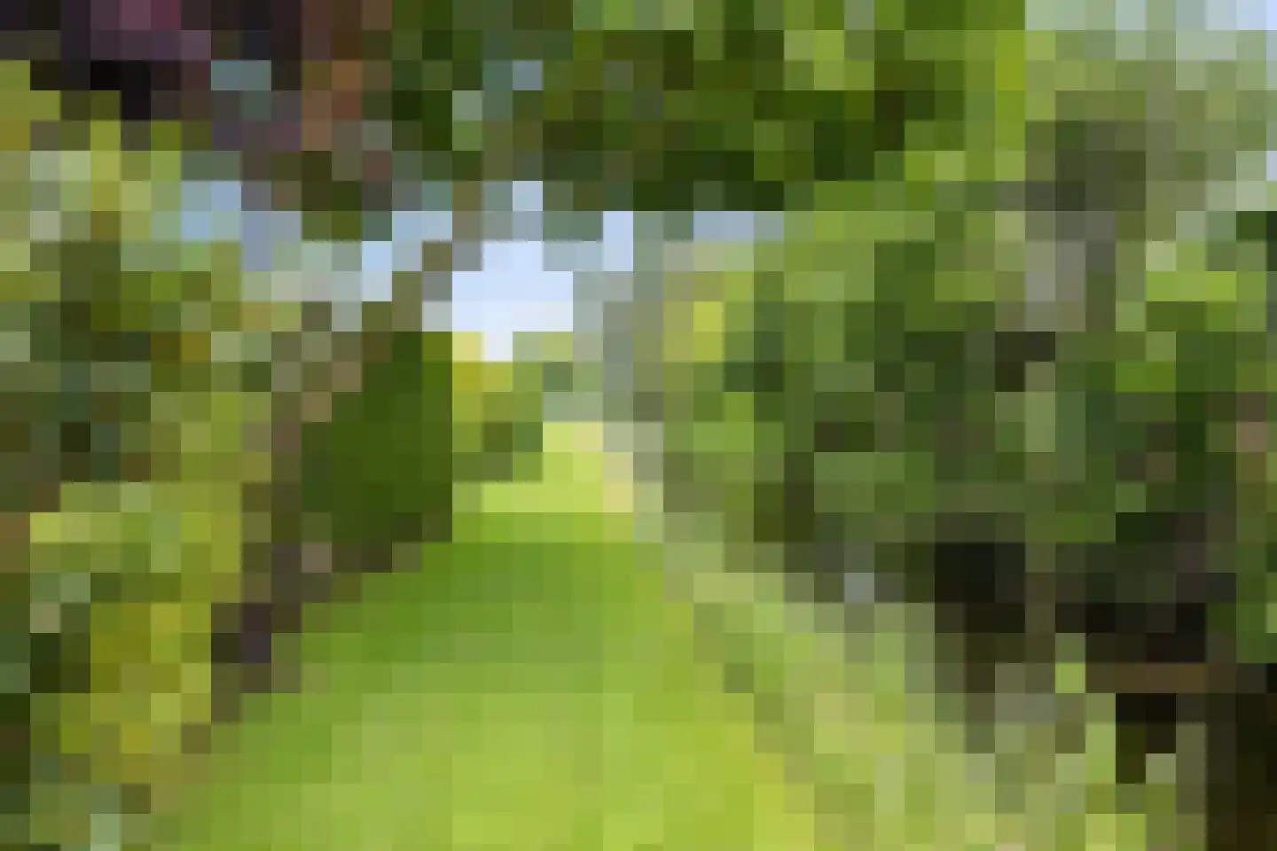 Beulakerweg 15 Giethoorn thumbnail 44