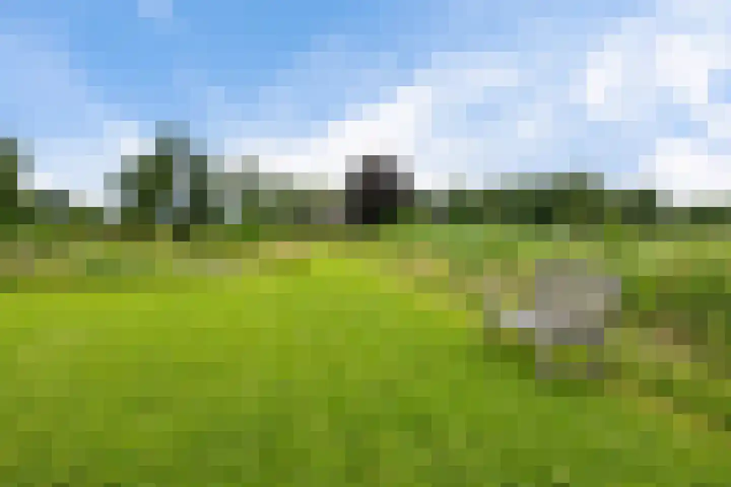 Beulakerweg 15 Giethoorn thumbnail 46