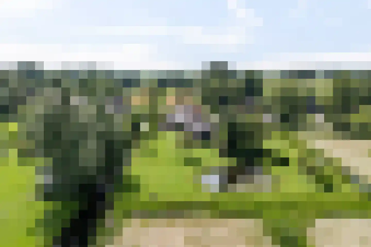 Beulakerweg 15 Giethoorn thumbnail 49