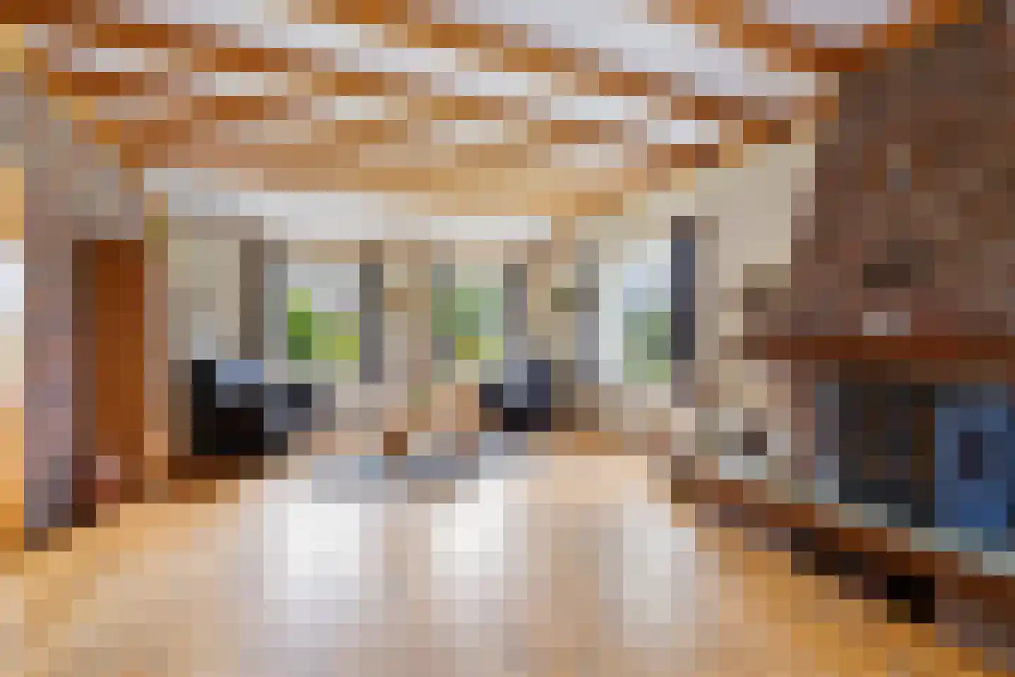 Beulakerweg 15 Giethoorn thumbnail 6