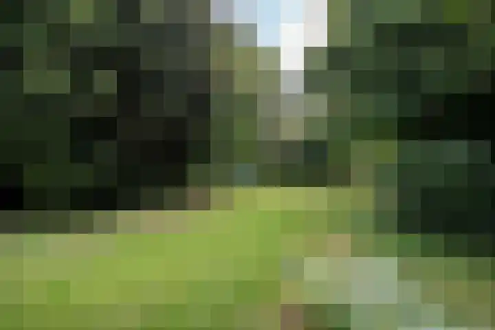 Beulakerweg 151 Giethoorn thumbnail 29