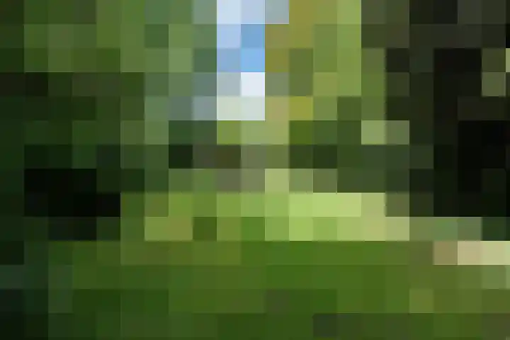 Beulakerweg 151 Giethoorn thumbnail 31