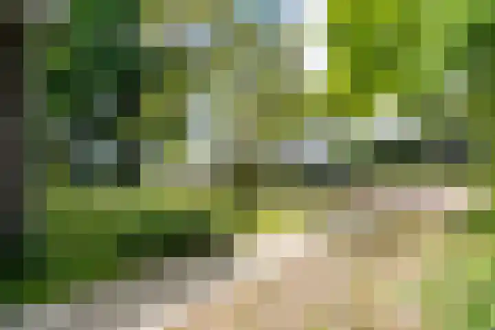 Beulakerweg 151 Giethoorn thumbnail 32