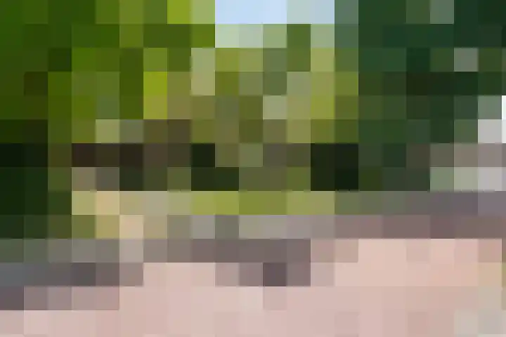 Beulakerweg 151 Giethoorn thumbnail 33