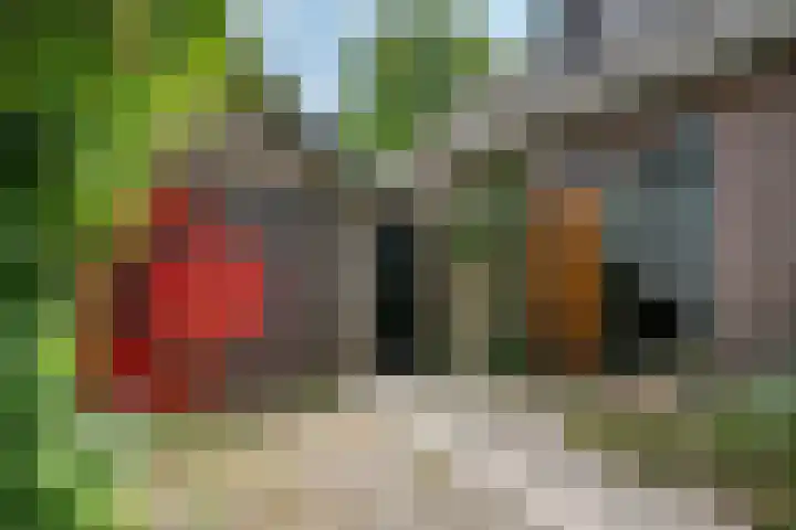 Beulakerweg 151 Giethoorn thumbnail 34
