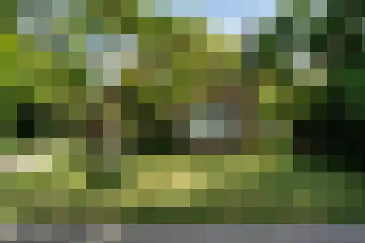 Beulakerweg 151 Giethoorn thumbnail 35
