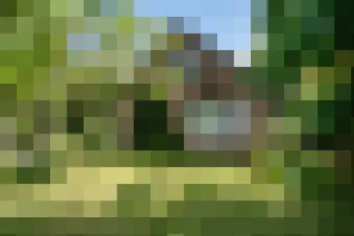 Beulakerweg 151 Giethoorn thumbnail 36