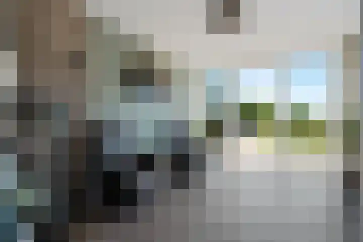 Beulakerweg 155 Giethoorn thumbnail 13