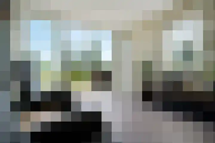 Beulakerweg 155 Giethoorn thumbnail 14
