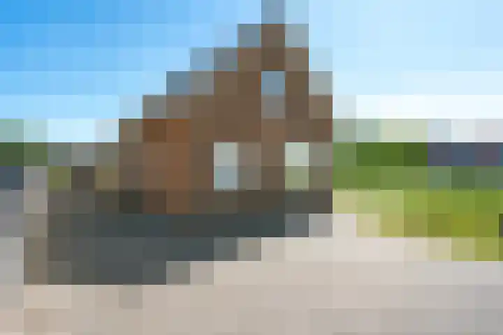 Beulakerweg 155 Giethoorn thumbnail 41