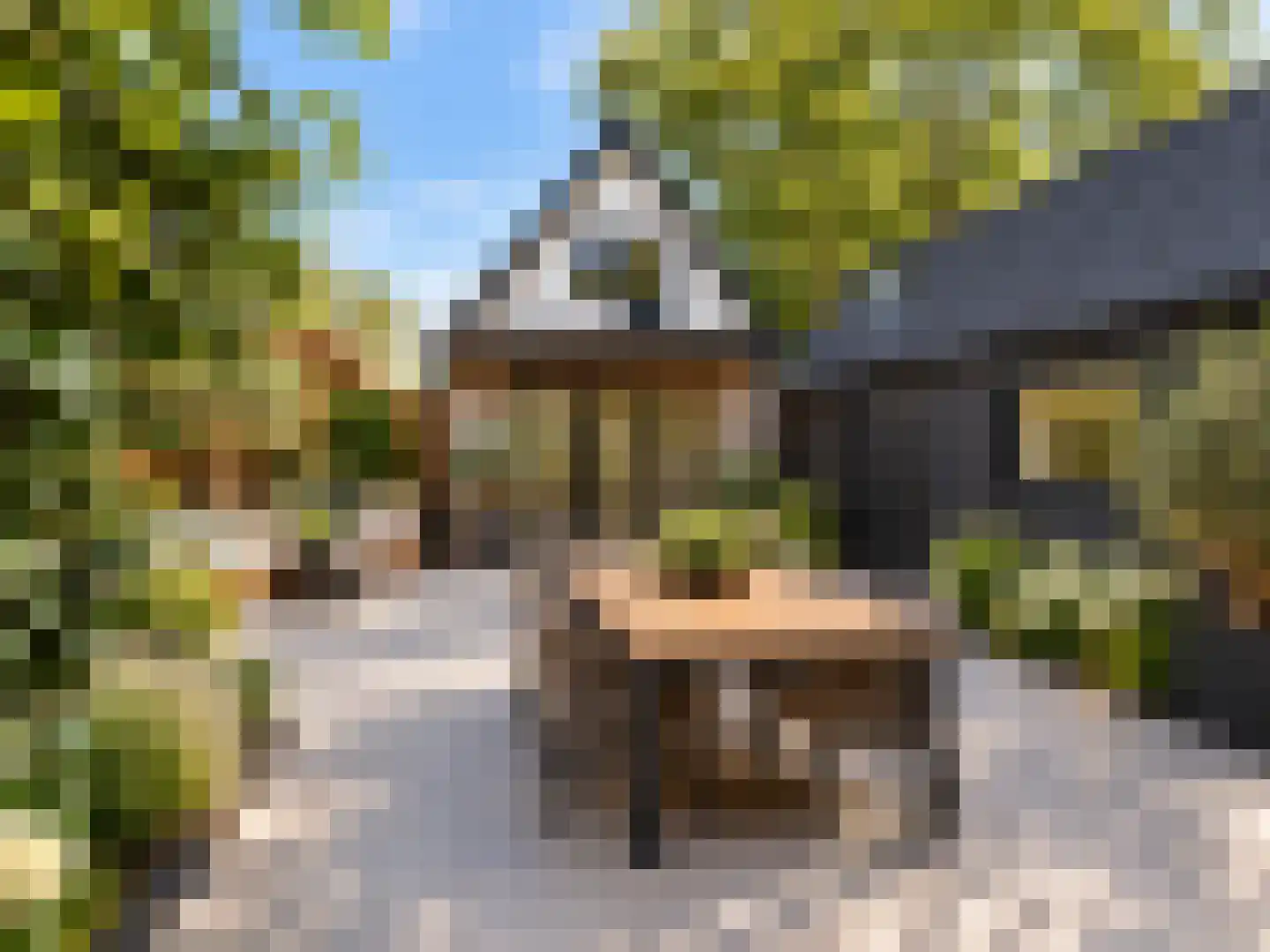 Beulakerweg 161 Giethoorn thumbnail 31