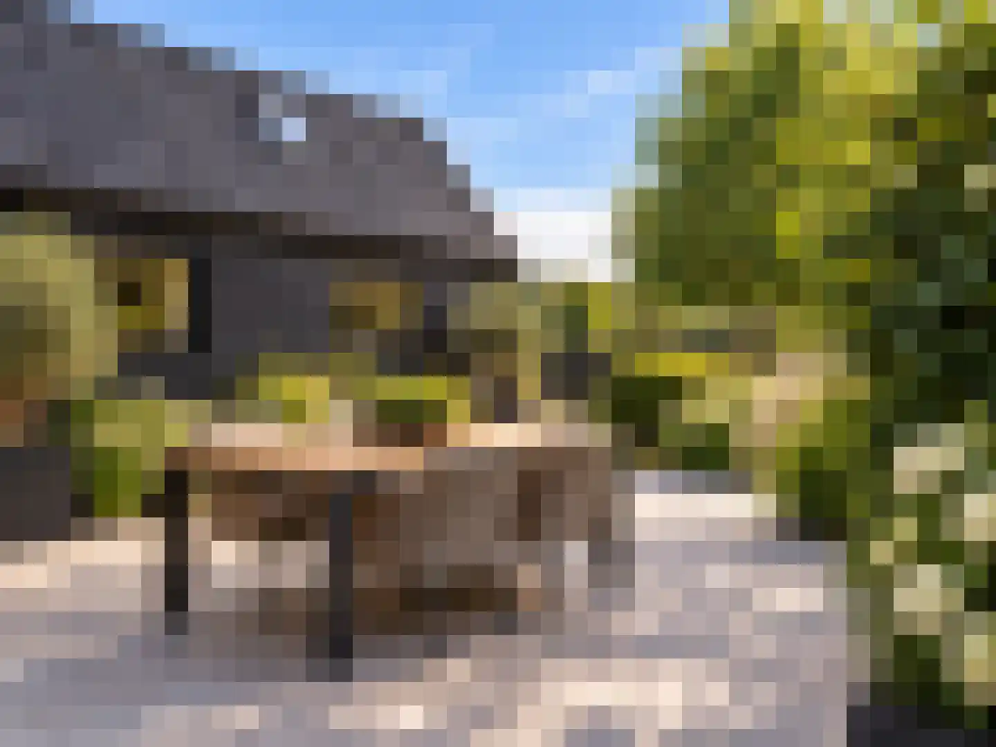 Beulakerweg 161 Giethoorn thumbnail 33