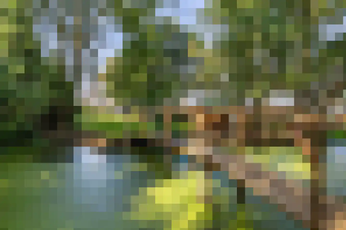 Beulakerweg 161 Giethoorn thumbnail 41