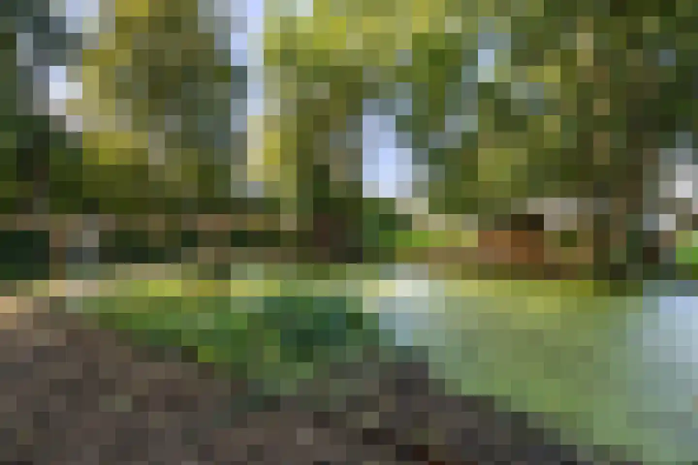 Beulakerweg 161 Giethoorn thumbnail 5