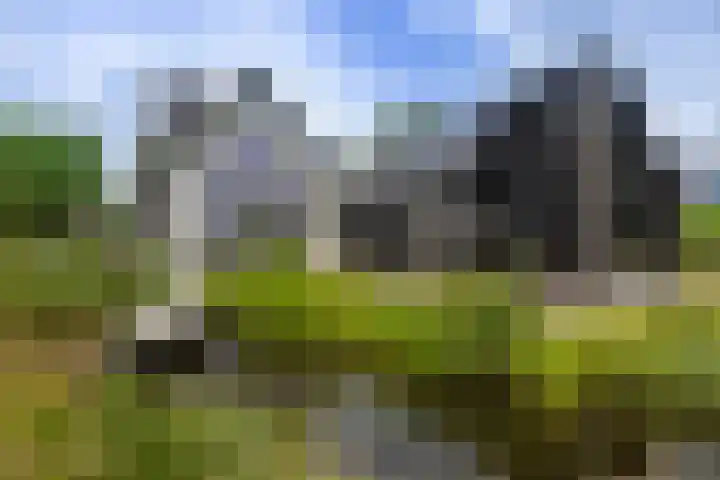 Beulakerweg 25 Giethoorn thumbnail 10